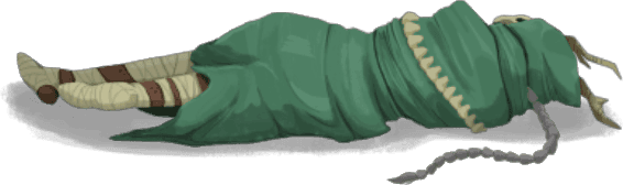 Zjawa