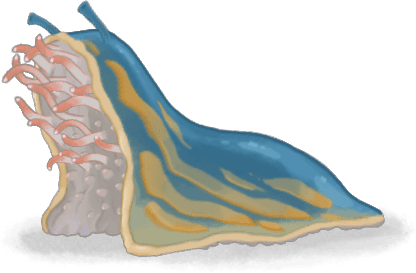 Putribabosa