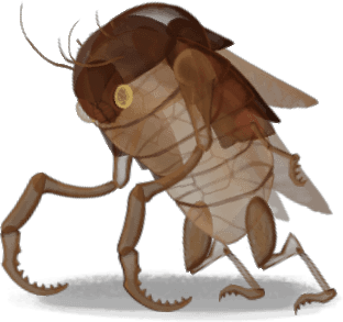 Exoesquebicho