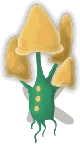 Micóptero