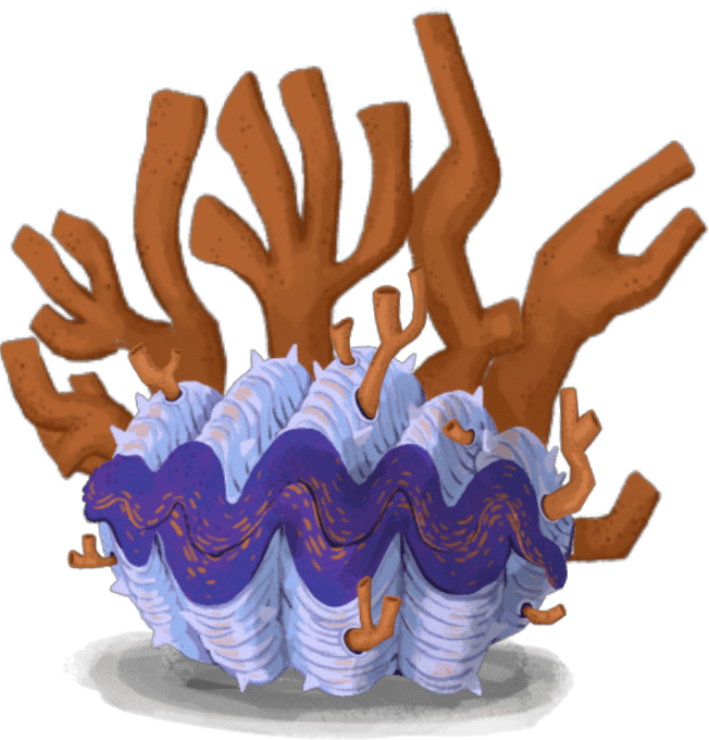 Cloacalmeja