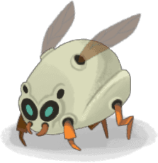 Hatchling