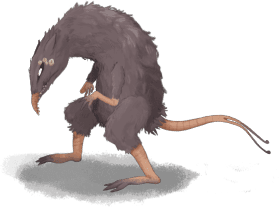 Rata bicola