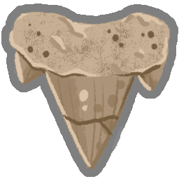 Archaic Tooth