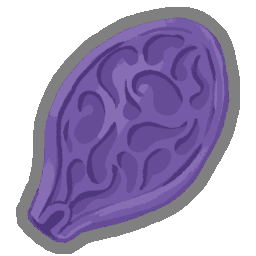 Ghost Seed