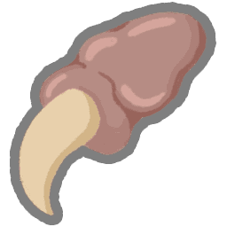 Pael's Claw
